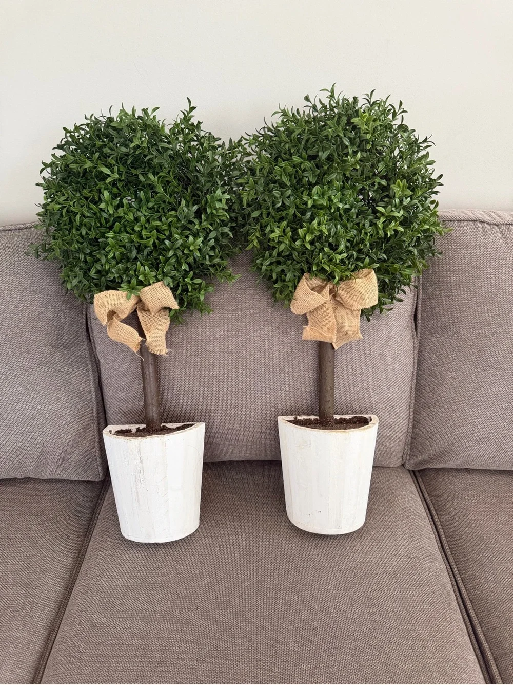 Pier 1 Green Boxwood Topiary Pair with White Pots and Burlap Bows Like New